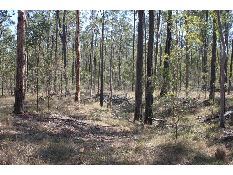 Lot 434 Arborfourteen Road, Glenwood QLD 4570