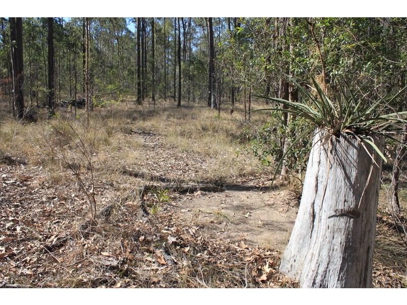 Lot 434 Arborfourteen Road, Glenwood QLD 4570