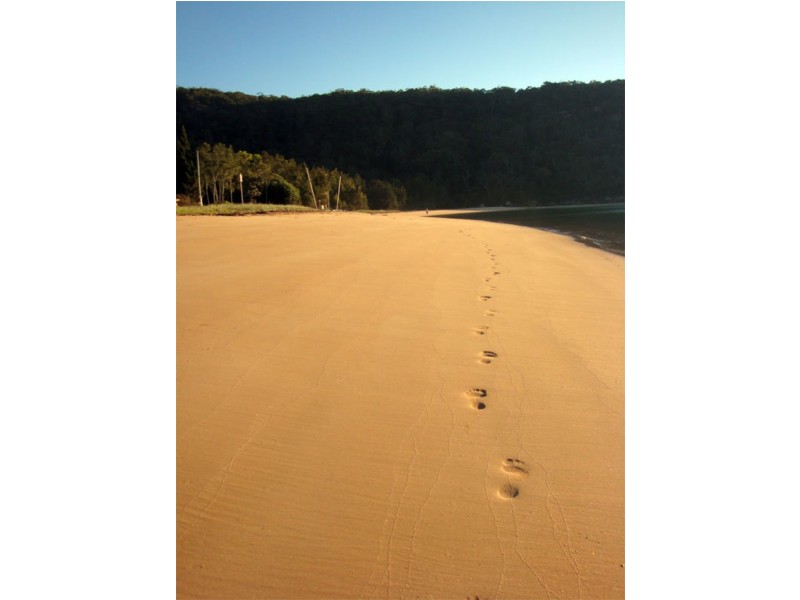 The Treehouse / 61 Monash Ave, Great Mackerel Beach NSW 2108