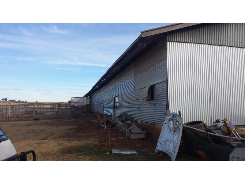 54 Sneesbys Lane, Upper Manilla NSW 2346