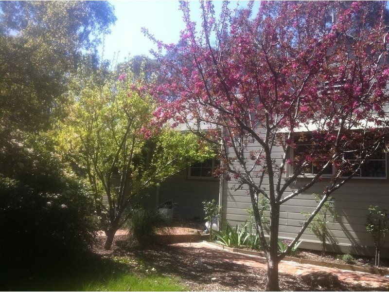 39 Young Street, Linton VIC 3360