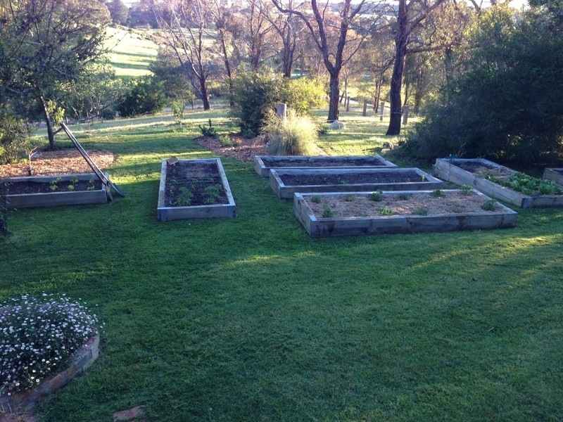 39 Young Street, Linton VIC 3360