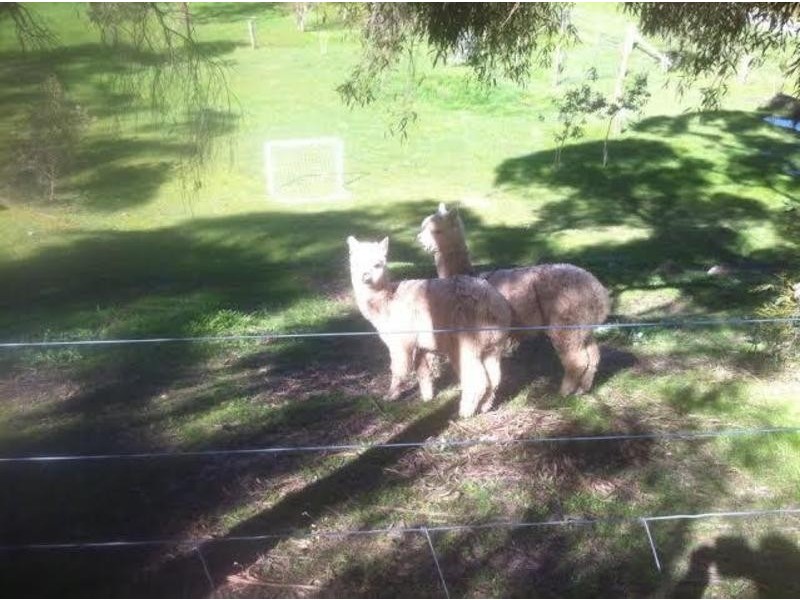 39 Young Street, Linton VIC 3360