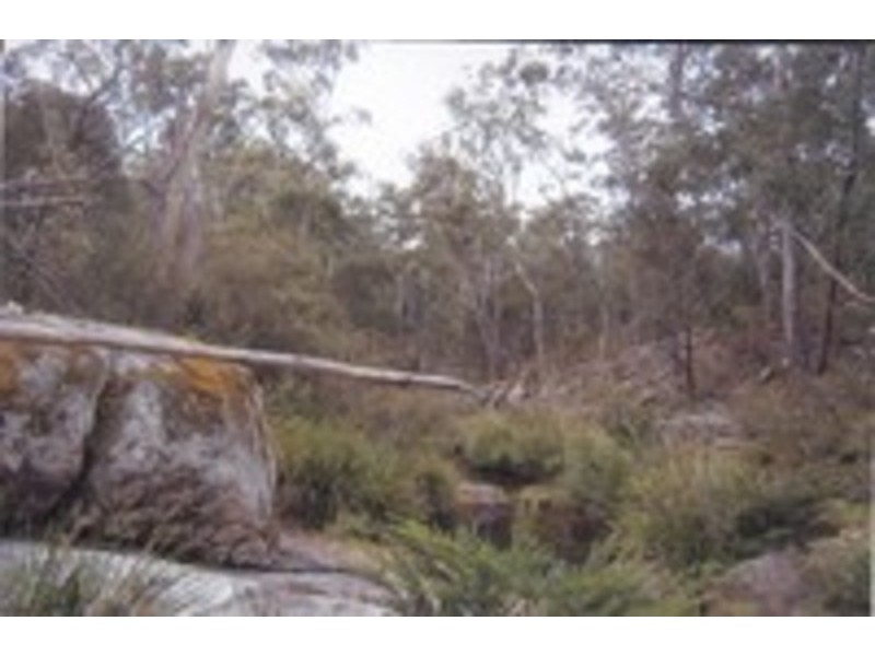 594 Fulligans Road  Lot 3, Pericoe NSW 2550