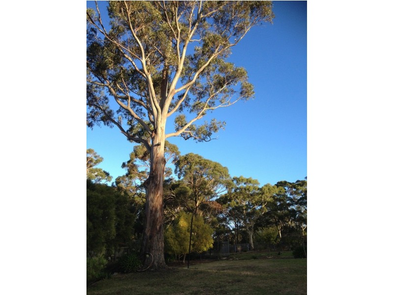 610 Nelson Road, Mount Nelson TAS 7007