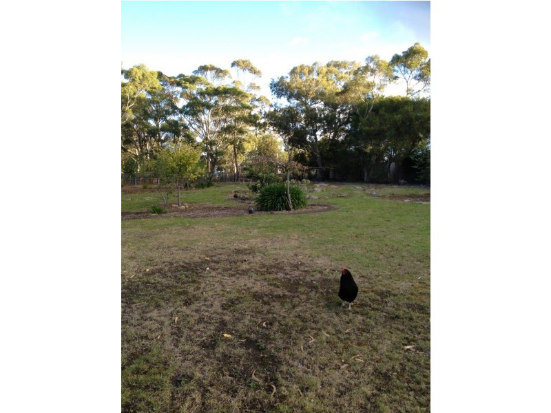 610 Nelson Road, Mount Nelson TAS 7007