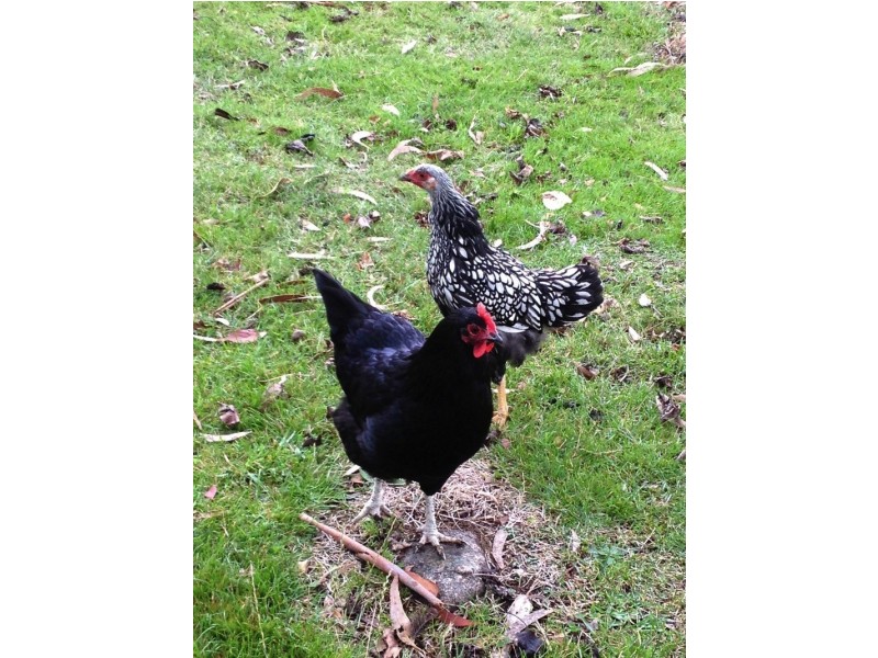 610 Nelson Road, Mount Nelson TAS 7007