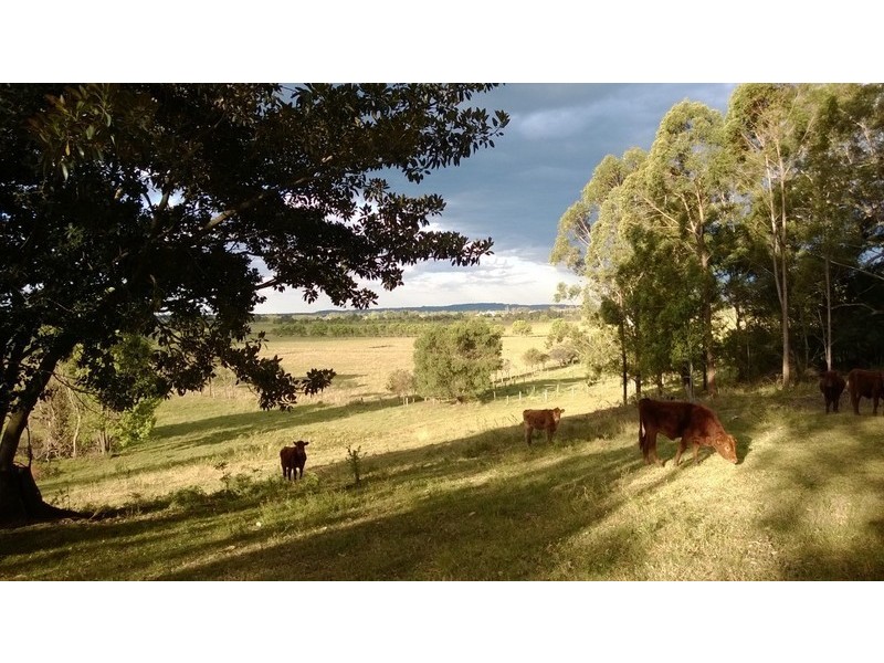 Pampoolah NSW 2430