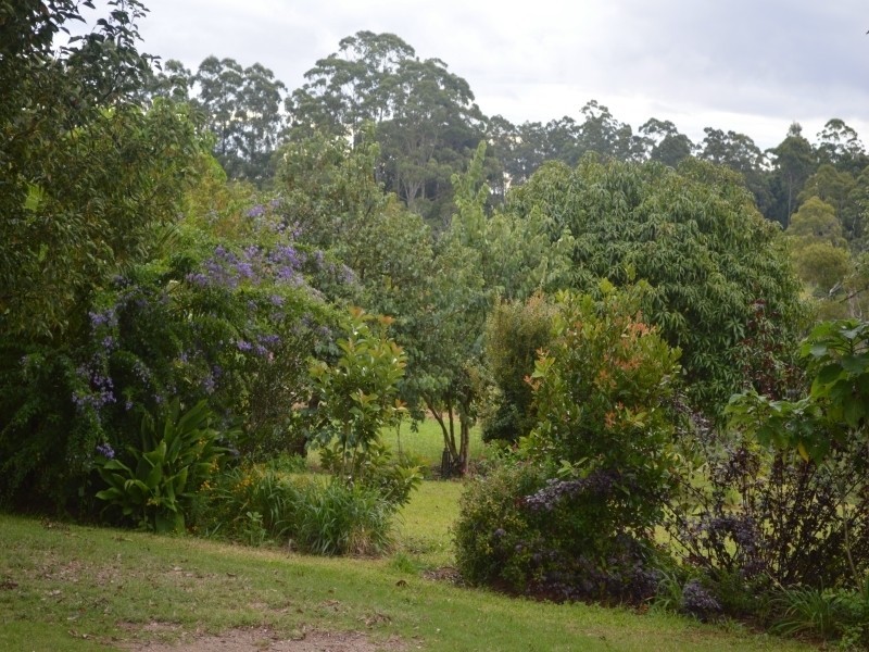 751 Tully Falls Road, Ravenshoe QLD 4888