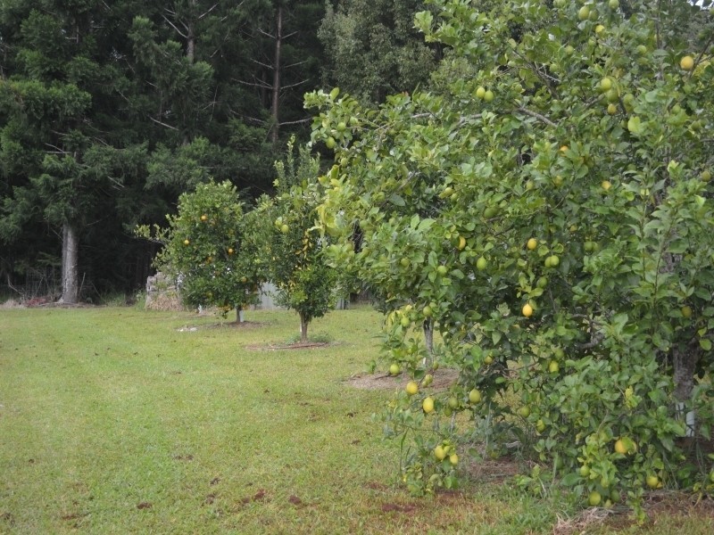 751 Tully Falls Road, Ravenshoe QLD 4888