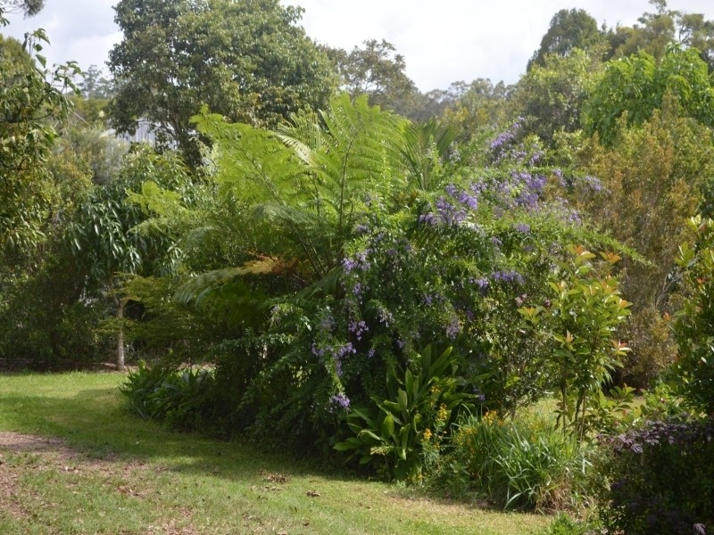 751 Tully Falls Road, Ravenshoe QLD 4888