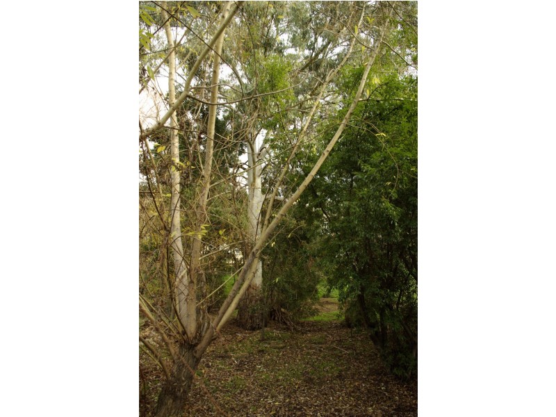 68 Fisher Avenue, Sandy Bay TAS 7005