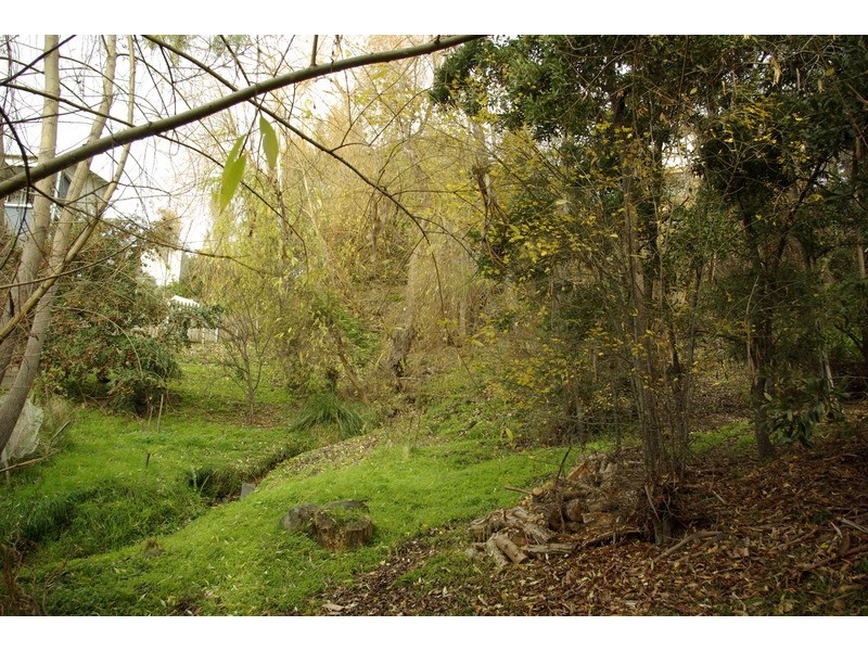 68 Fisher Avenue, Sandy Bay TAS 7005