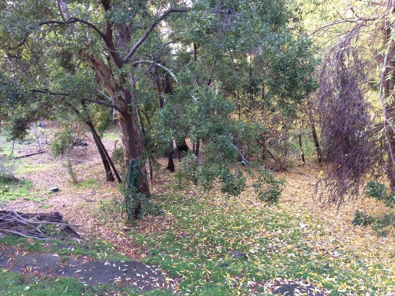 68 Fisher Avenue, Sandy Bay TAS 7005