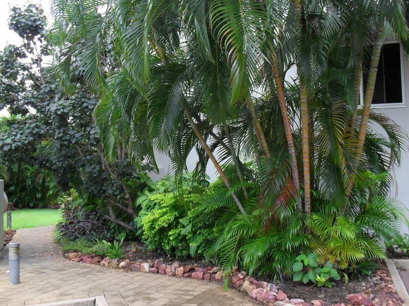 16/6 Foelsche Street, Darwin NT 0800