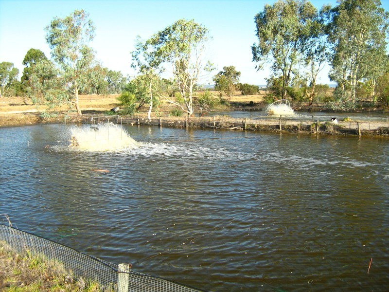 899  Elliott Road, Serpentine WA 6125