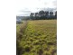 78 Cartright Street, Brighton TAS 7030