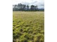 78 Cartright Street, Brighton TAS 7030