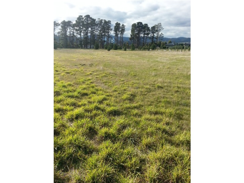 78 Cartright Street, Brighton TAS 7030