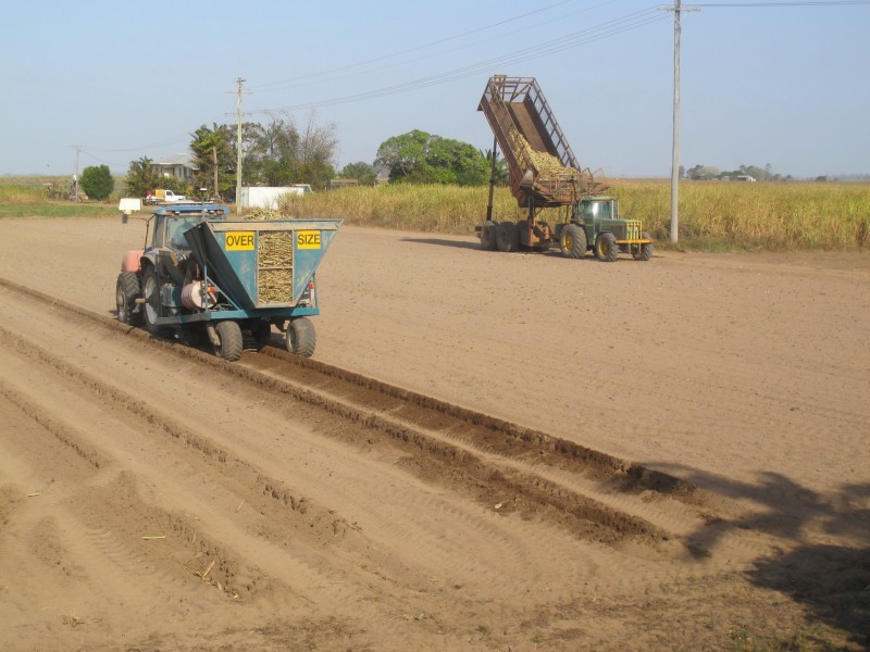Moore Park Beach QLD 4670
