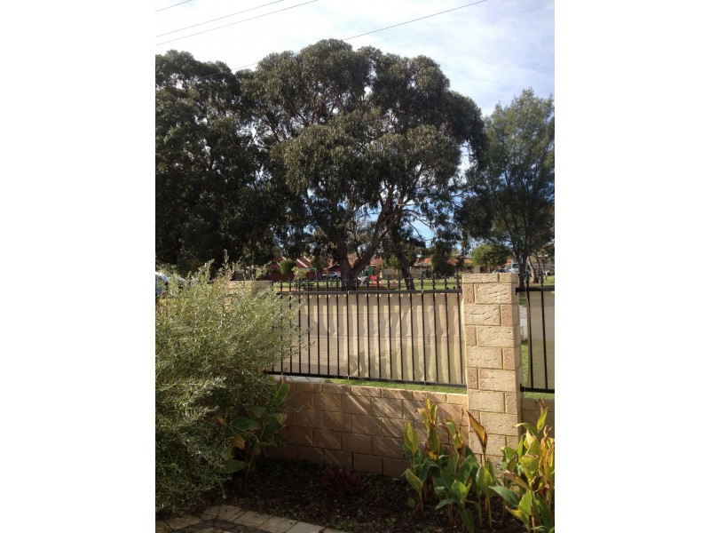 A/23 Collier Avenue, Balcatta WA 6021