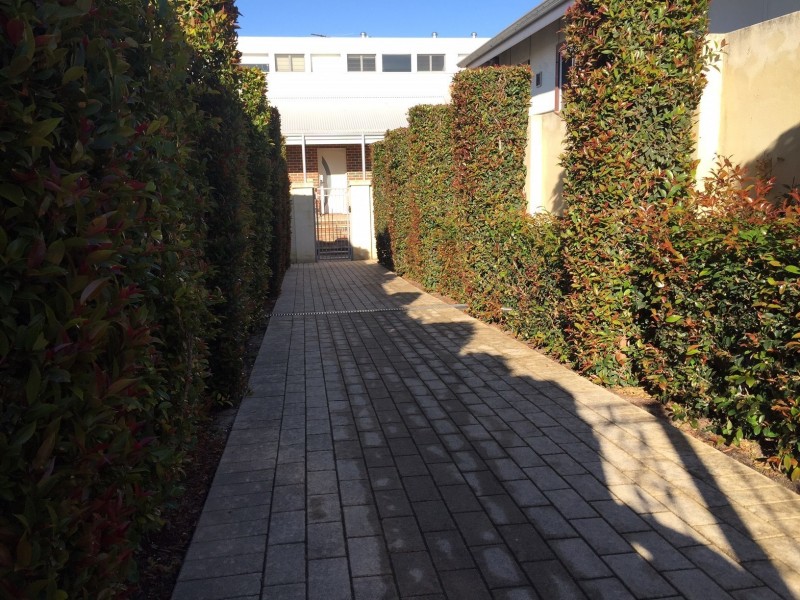 B/87 Hubert St, East Victoria Park WA 6101