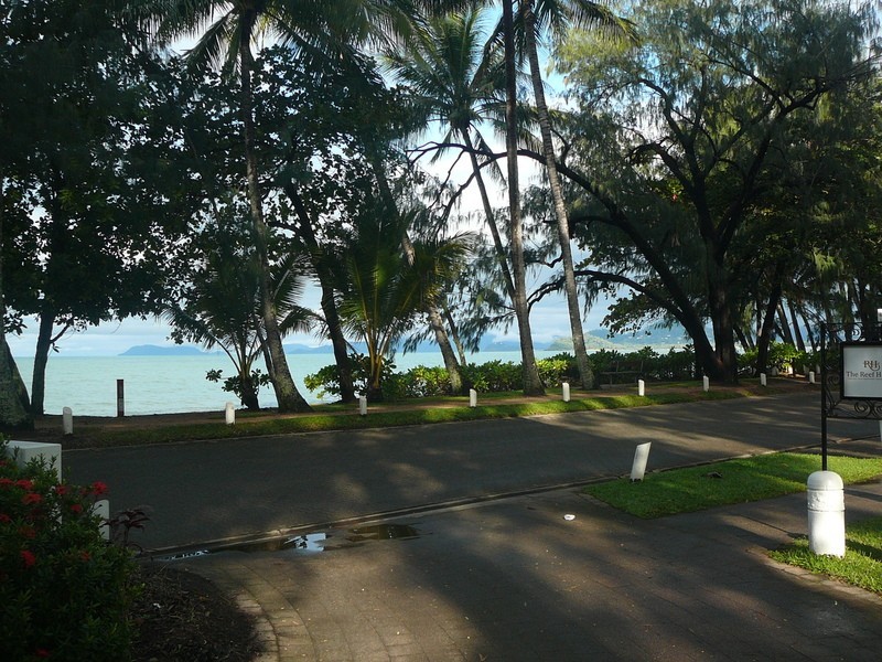 97 Cedar Road, Palm Cove QLD 4879