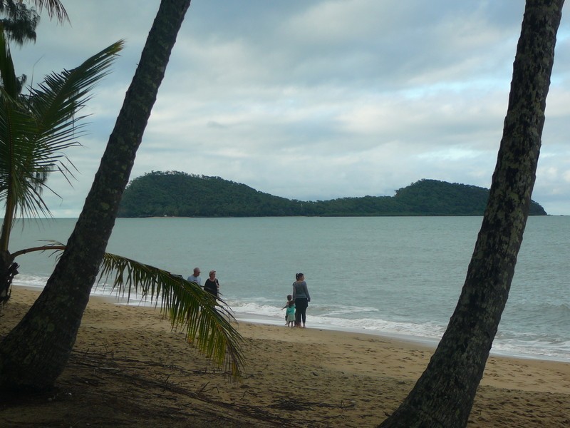 97 Cedar Road, Palm Cove QLD 4879