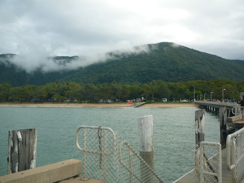 97 Cedar Road, Palm Cove QLD 4879