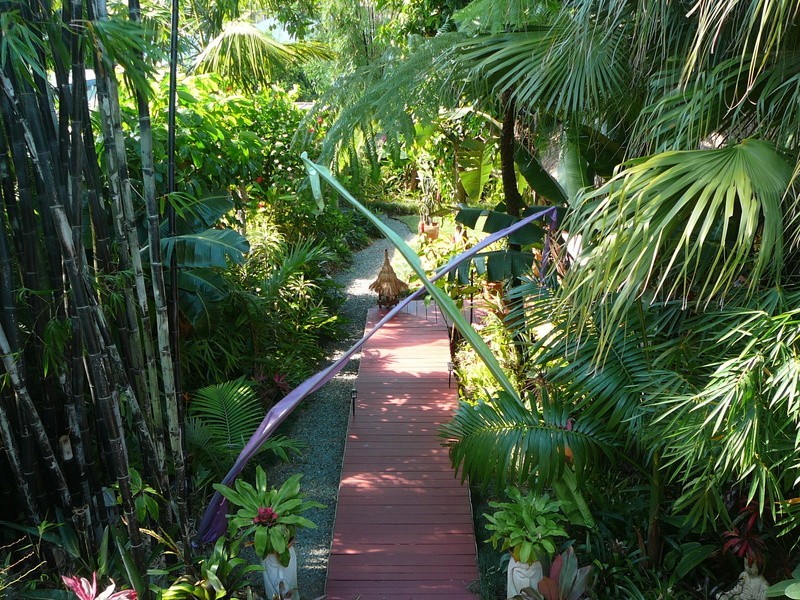 55 Yamboyna Street, Manly QLD 4179