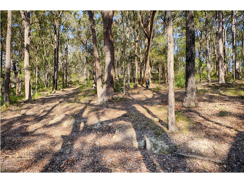 39 Sanctuary Grove, Tingira Heights NSW 2290
