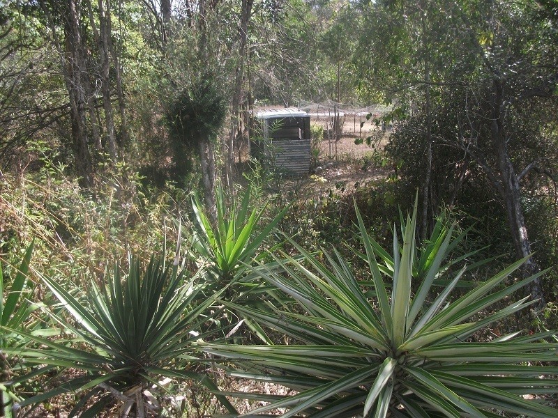 59 Rammutt Road, Chatsworth QLD 4570