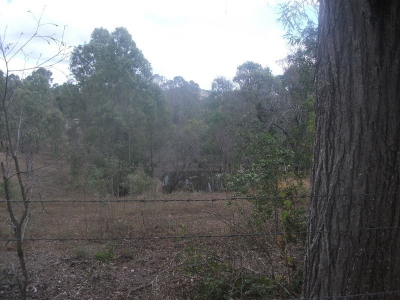 59 Rammutt Road, Chatsworth QLD 4570