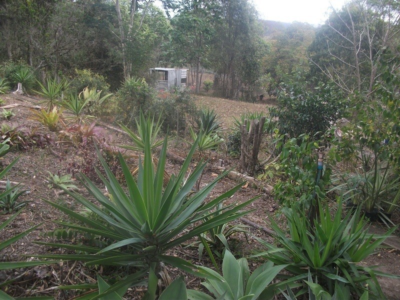 59 Rammutt Road, Chatsworth QLD 4570