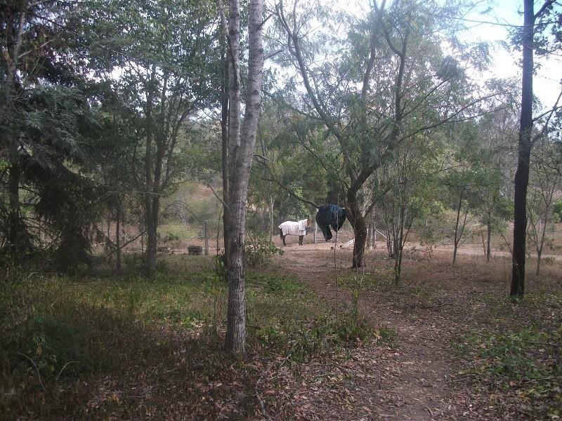 59 Rammutt Road, Chatsworth QLD 4570