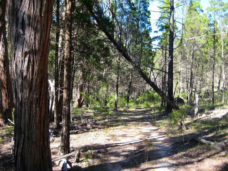 Stanthorpe QLD 4380