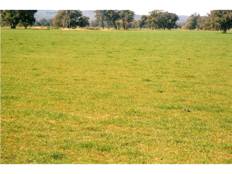 1281 Great Alpine Road, Tarrawingee VIC 3678