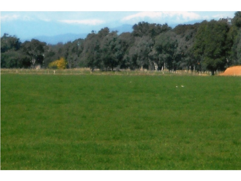 1281 Great Alpine Road, Tarrawingee VIC 3678