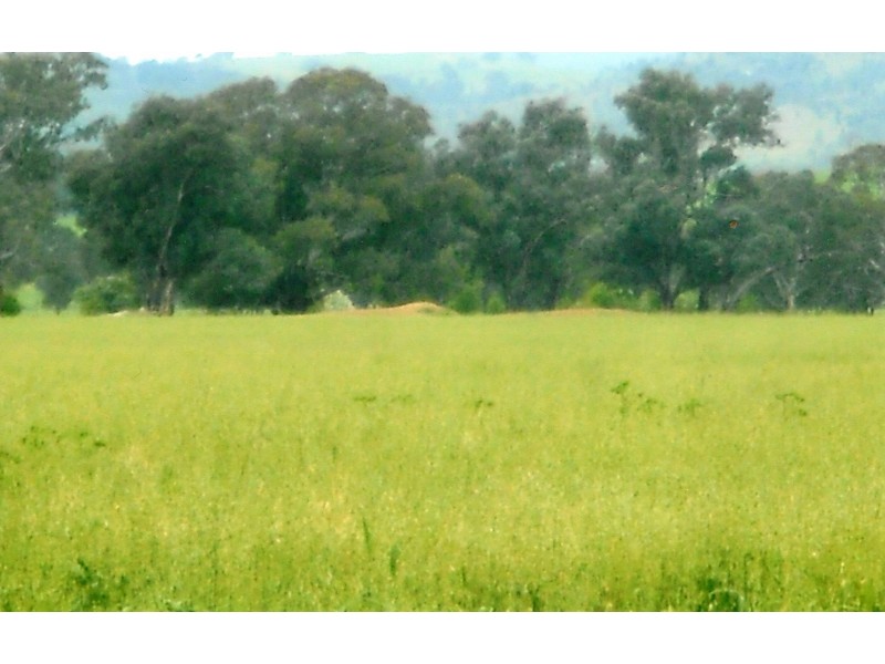 1281 Great Alpine Road, Tarrawingee VIC 3678