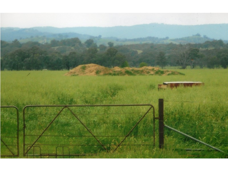 1281 Great Alpine Road, Tarrawingee VIC 3678