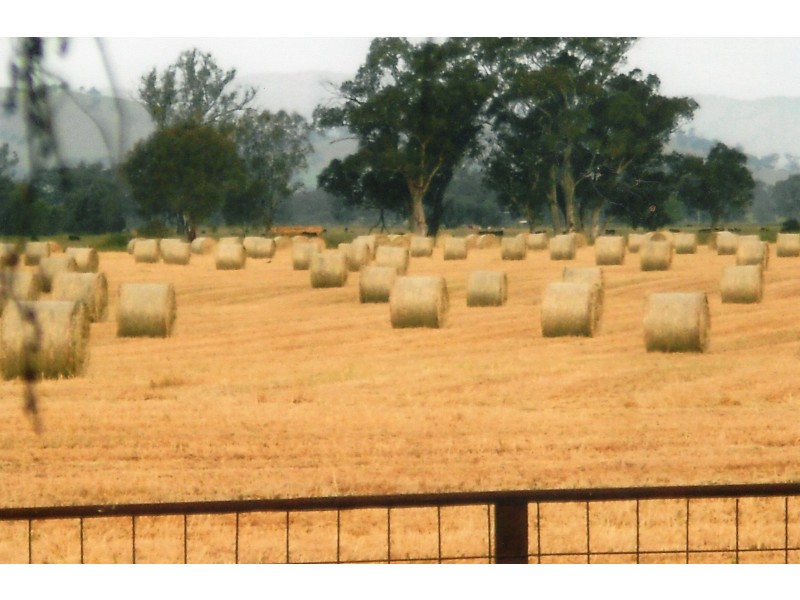 1281 Great Alpine Road, Tarrawingee VIC 3678