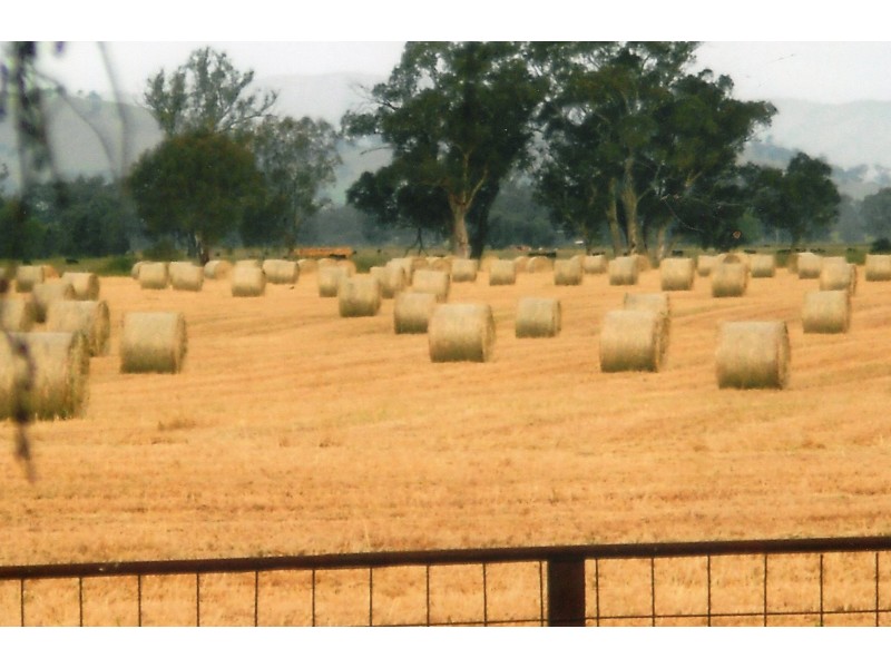 1281 Great Alpine Road, Tarrawingee VIC 3678