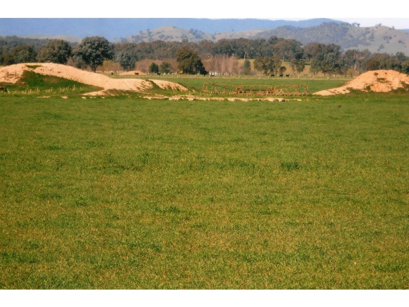 1281 Great Alpine Road, Tarrawingee VIC 3678