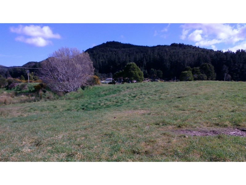 Lot 0 Tarleton Street, Zeehan TAS 7469