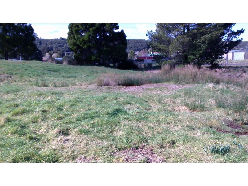 Lot 0 Tarleton Street, Zeehan TAS 7469