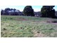 Lot 0 Tarleton Street, Zeehan TAS 7469