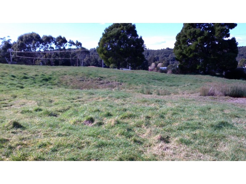 Lot 0 Tarleton Street, Zeehan TAS 7469
