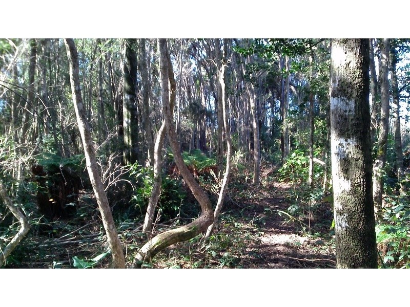 Lot 0 Grining Street, Strahan TAS 7468