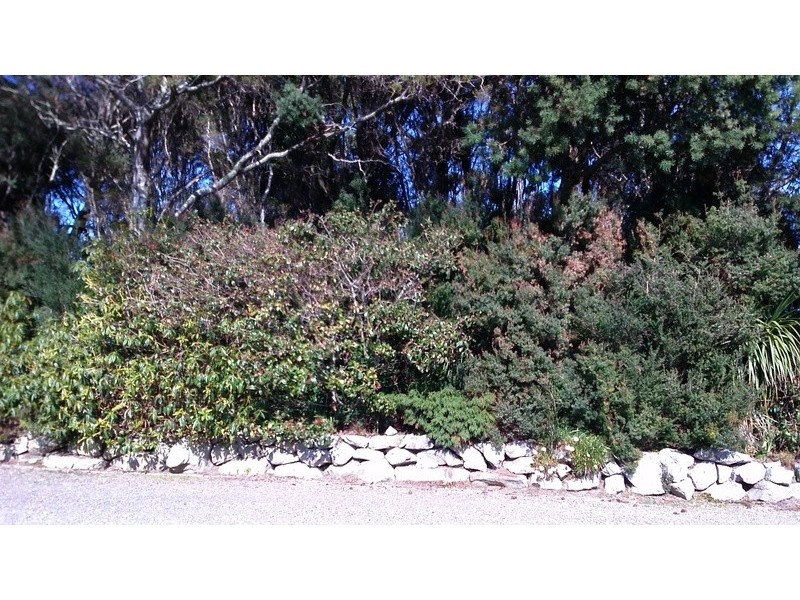 Lot 0 Grining Street, Strahan TAS 7468