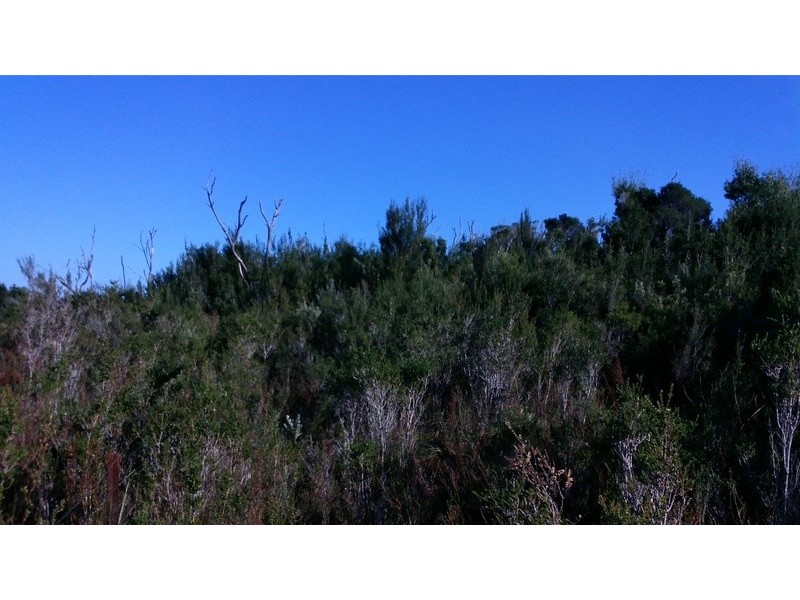 Lot 0 Grining Street, Strahan TAS 7468